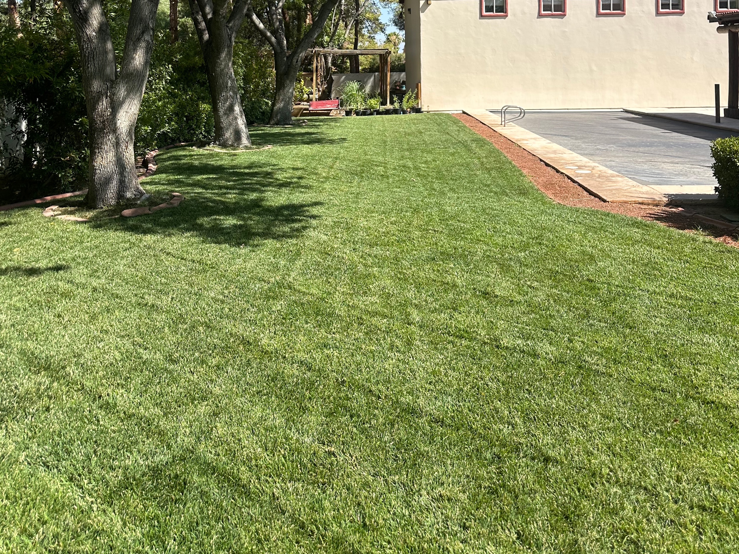 las vegas lawn maintenance img 1