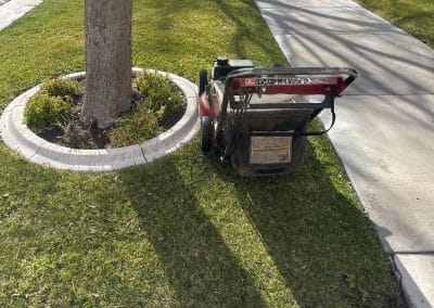 landscaping seasonal cleanup img 1