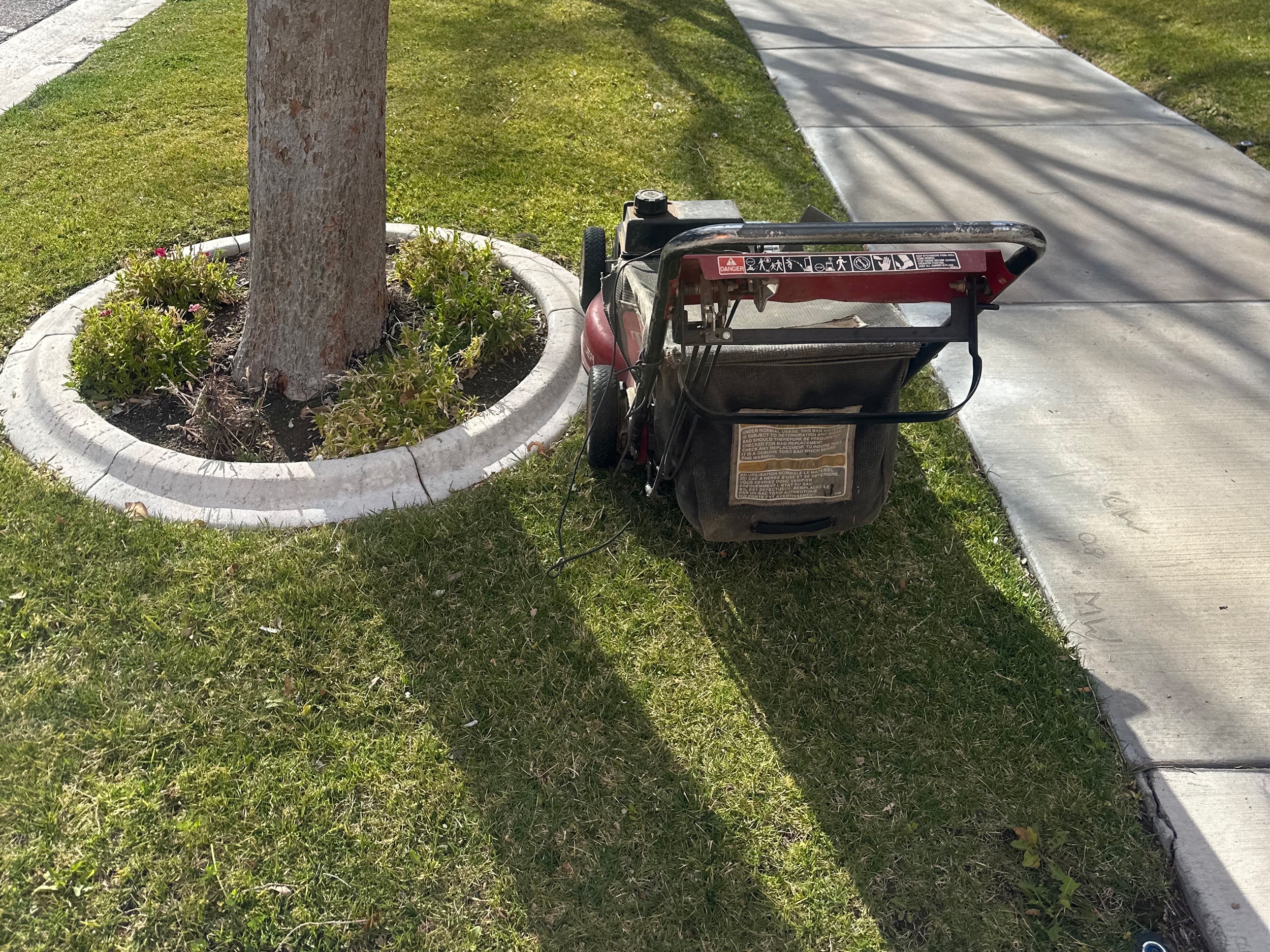 landscaping seasonal cleanup img 1